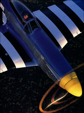 painting d mustang p51 for sale painting d mustang p51 for sale Carmel Valley