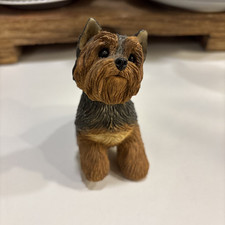 puppy terrier yorkshire for sale puppy terrier yorkshire for sale Indianapolis
