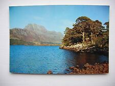 Loch maree slioch for sale  FALKIRK