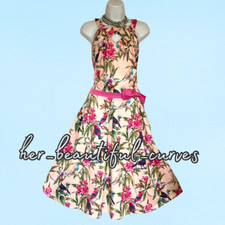 Lindy bop floral for sale  BELFAST