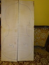 Tonholz tonewood interessanter gebraucht kaufen  Deutschland