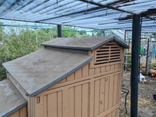 Snap lock chicken for sale  NEWMARKET