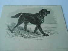 Gravure 1879 dan d'occasion  La Verpillière