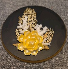 Vintage hawaiian seashell for sale  Waterford
