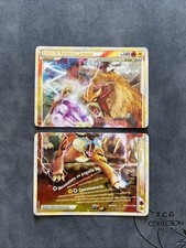 Entei raikou légende d'occasion  Mirande