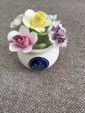 Royal doulton bone for sale  HULL