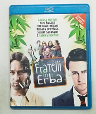 Fratelli erba blu usato  Bologna