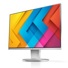 Eizo ev2455 zoll gebraucht kaufen  Brannenburg