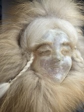 Spectacular alaska native for sale  Wasilla