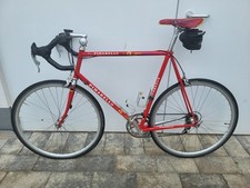 Pinarello asolo rahmenhöhe gebraucht kaufen  Ötigheim