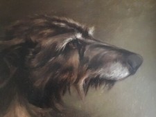 deerhound for sale deerhound for sale LONDON