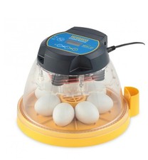 Brincia mini advance for sale  ACCRINGTON
