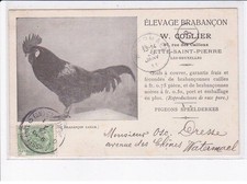 Jette saint pierre d'occasion Jette saint pierre d'occasion  France