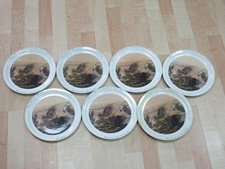 Villeroy boch wandteller gebraucht kaufen  Deutschland