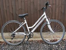 Professional metropolitan ladi for sale  HUNTINGDON
