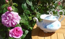 gainsborough bone china for sale gainsborough bone china for sale PRESTON