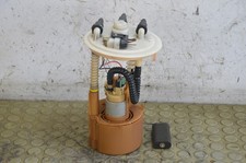 25309 pompa carburante usato  Palestrina