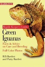 Green iguanas facts for sale  Aurora