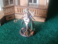 Fully painted dnd for sale  Madison