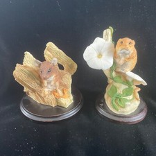 Two teviotdale mice for sale  ROSS-ON-WYE