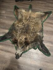 Wild boar head for sale  Shawmut