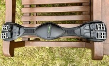 Amerigo elastic dressage for sale  LINCOLN