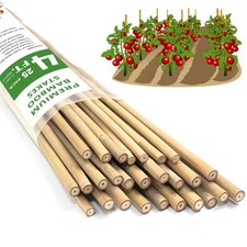 bamboo stakes 4ft for sale  Ellenville