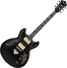 Ware ibanez as93sp gebraucht kaufen  Schongau