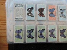 british butterflies cigarette cards for sale british butterflies cigarette cards for sale MELTON MOWBRAY