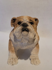 Heavy detailed brown for sale  WICK