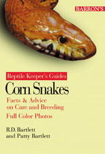 Corn snakes patricia for sale  UK