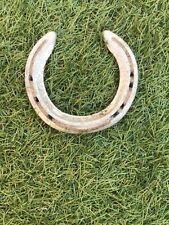 Aluminium racehorse horseshoe for sale  DARTMOUTH