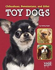 Chihuahuas pomeranians toy for sale  Mishawaka