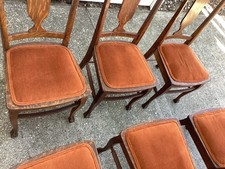 Quarter sewn tiger for sale  Winter Haven