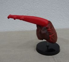 Modell lehrmodell ddr gebraucht kaufen  Hohenstein-Ernstthal