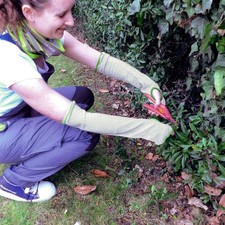 Manchette jardinage d'occasion Manchette jardinage d'occasion  France