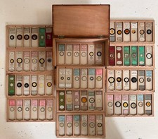 Cased group antique for sale  LANCING