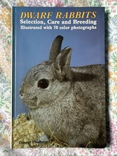 Dwarf rabbits gunter for sale  WELLS-NEXT-THE-SEA