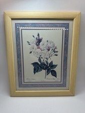 Botanical art print for sale  LONDON