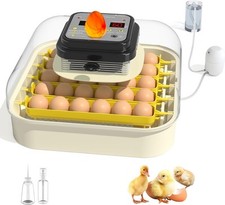 game hatching eggs for sale game hatching eggs for sale SALFORD