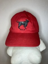 Polo sport ralph gebraucht kaufen  Röhrsdorf