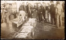 Trawler men unloading for sale  BRIGHTON
