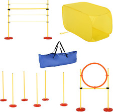 Set agility dog usato  Roma