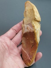 Neanderthal middle paleolithic d'occasion  Bonneville