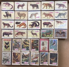 Lot old animals d'occasion  Expédié en Belgium