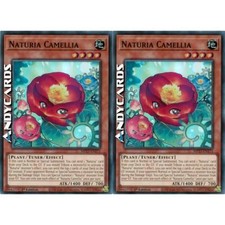 Naturia camellia super usato  Ravenna