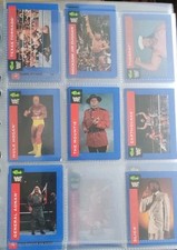 Wwf wrestling hulk gebraucht kaufen  Schwarzenberg