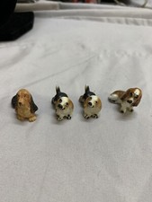 Miniature basset hound for sale  Winter Springs
