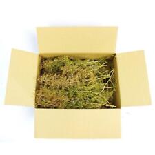 Seafoam trees box for sale  NEATH