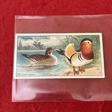 1909 player nature for sale  Ruston